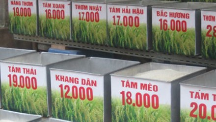 Dùng hóa chất hô biến gạo bình dân thành thượng hạng