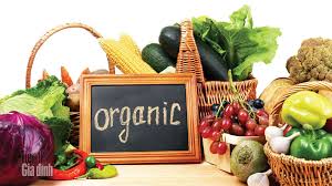Thực phẩm hữu cơ Organica