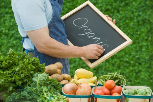 Tìm hiểu Organic là gì và Organic Food là gì