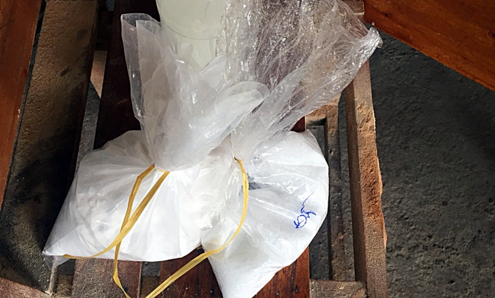 Quảng Nam: Phát hiện cơ sở dùng hóa chất ngâm ủ, tẩy trắng vỏ dừa - Tư vấn  giấy phép vệ sinh an toàn thực phẩm | Thủ tục làm giấy phép
