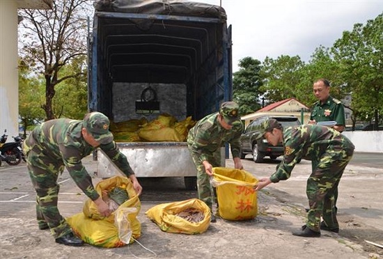 Quảng Ninh: Bắt quả tang xe ô tô vận chuyển 300kg chân gà trong quá trình phân hủy