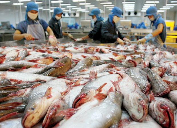 EU rút 'thẻ vàng' đối với thủy sản: Việt Nam phải chặt chẽ hơn để thích nghi các Tiêu chuẩn cao